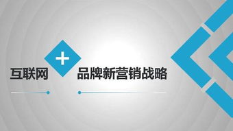 互联网时代下的品牌新营销战略 传统企业转型的必由之路